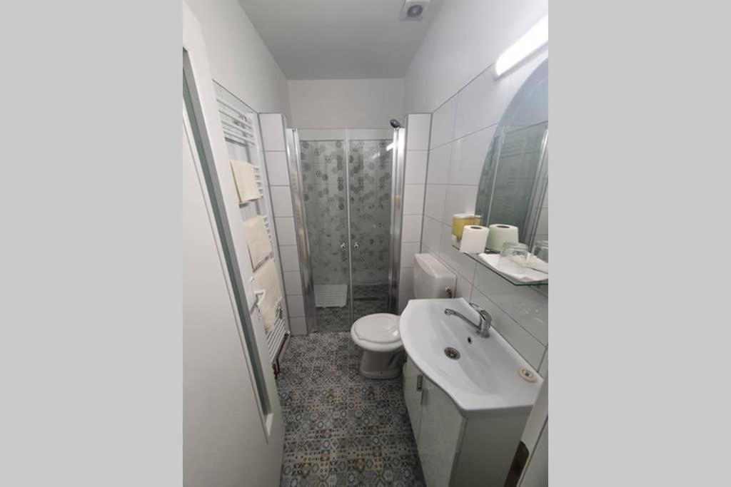 Апартаменти Casa Frizerului - Pets Allowed For Free & Moto Friendly Себеш Екстер'єр фото